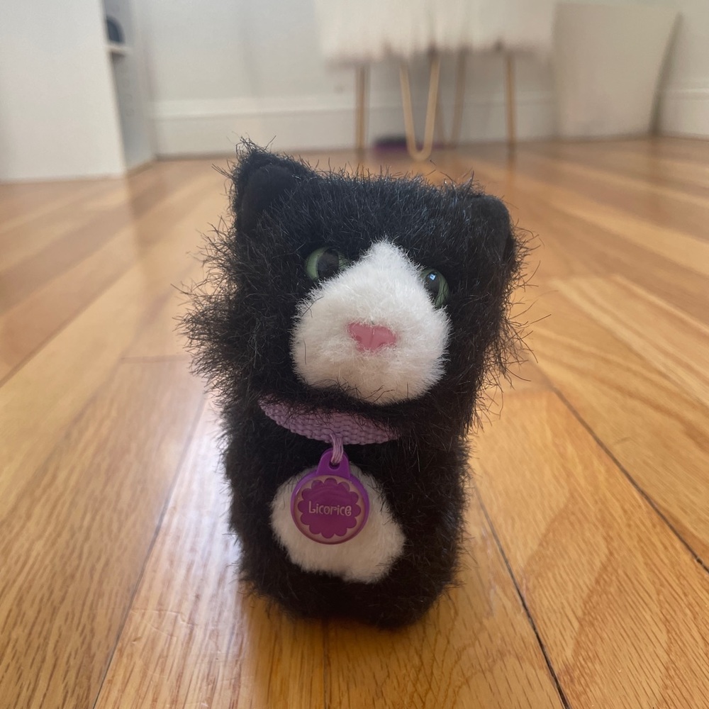 American girl doll cat